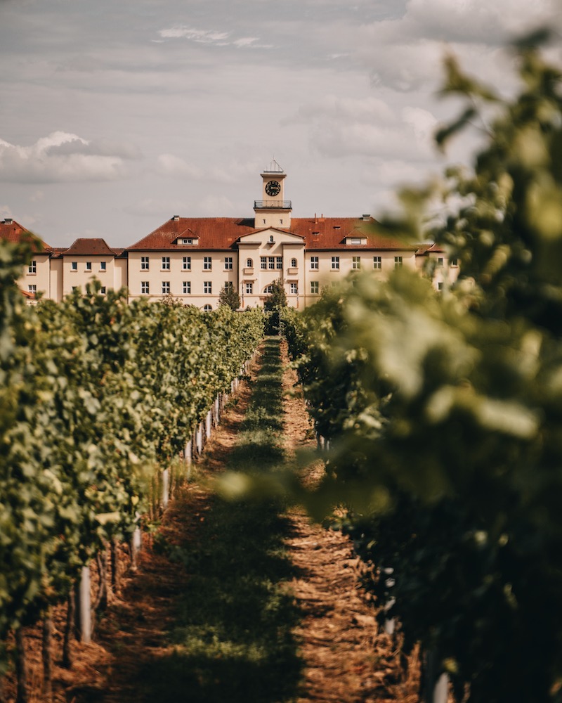 Neustadt an der Weinstraße Pfalz