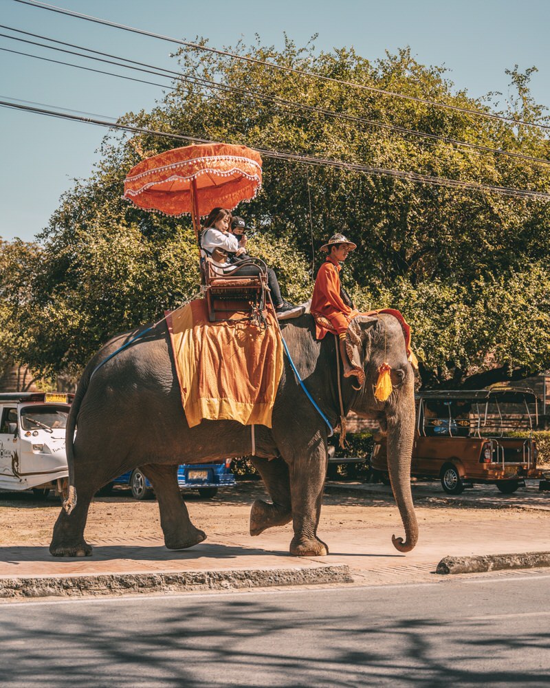Elefantenreiten in Thailand