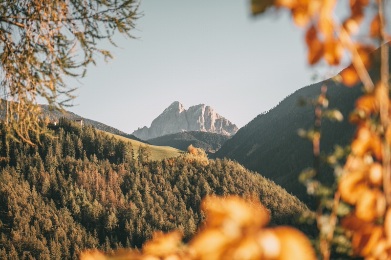 Lüsner Alm Region Gitschberg Jochtal