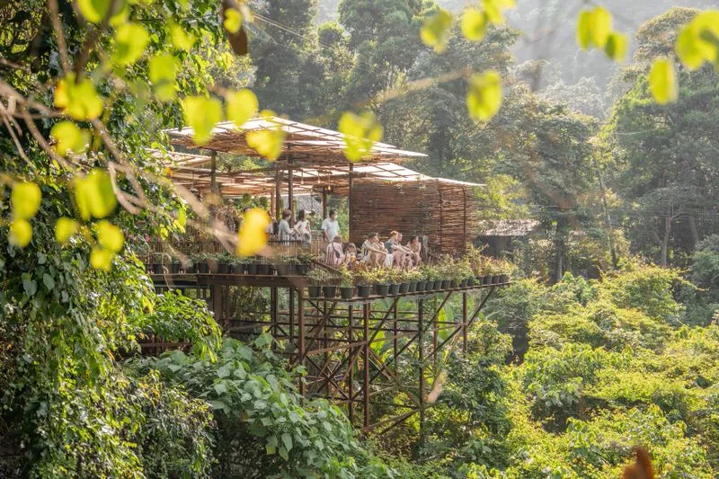 Tree Bridge Café Koh Samui Tipps